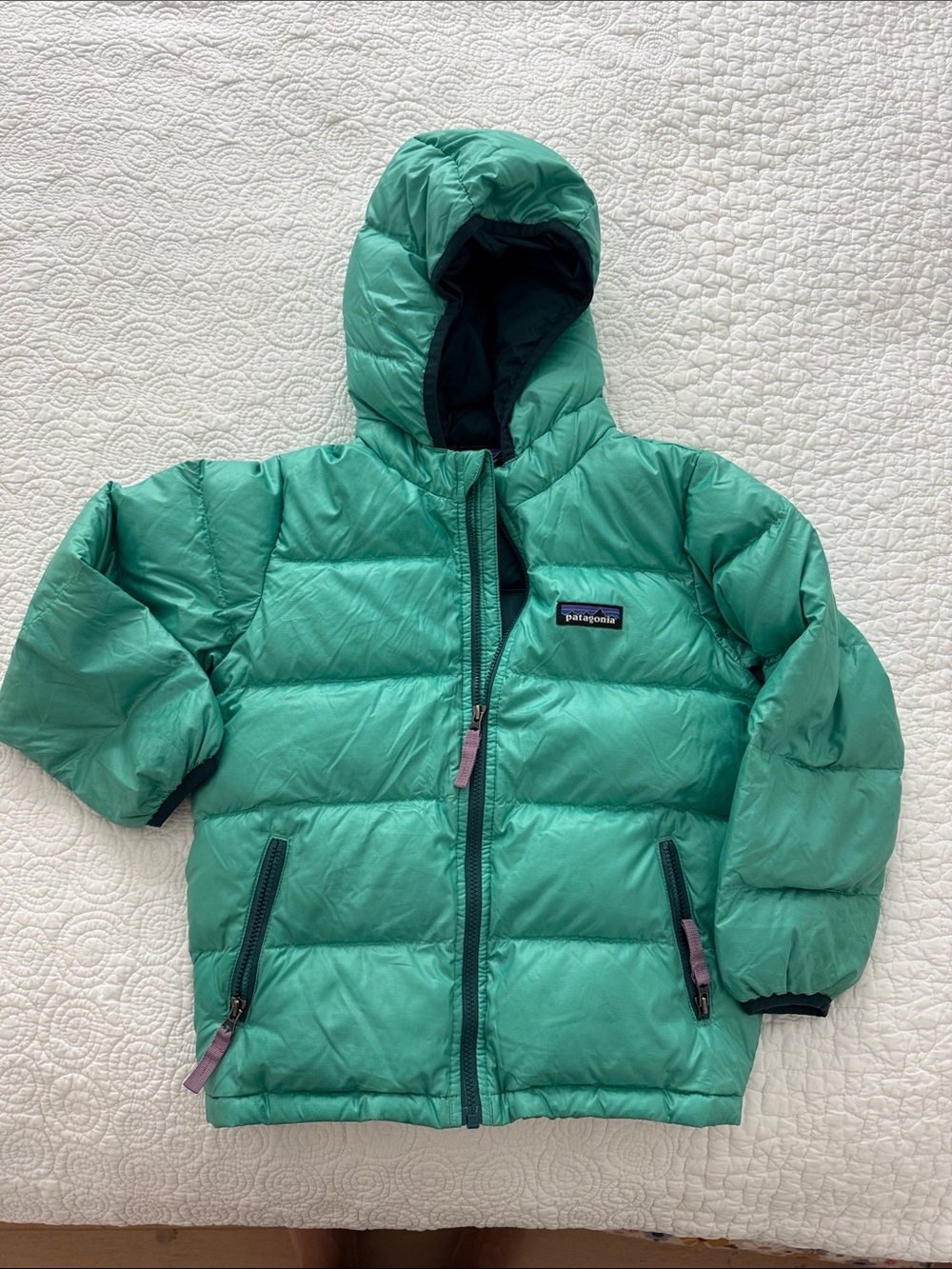 Patagonia Green Hooded Down Jacket
